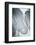 Shadow Sphere 1-Jenny Kraft-Framed Art Print