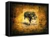 Shadow Trees-LightBoxJournal-Framed Stretched Canvas