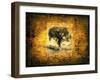 Shadow Trees-LightBoxJournal-Framed Giclee Print