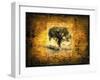 Shadow Trees-LightBoxJournal-Framed Giclee Print