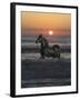 Shadow Walker-Bob Langrish-Framed Photographic Print