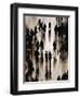 Shadow Walking-Farrell Douglass-Framed Giclee Print