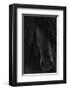 Shadow-null-Framed Premium Giclee Print