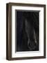 Shadow-null-Framed Premium Giclee Print