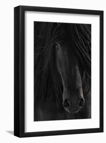 Shadow-null-Framed Art Print