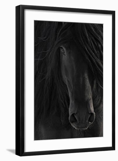 Shadow-null-Framed Art Print