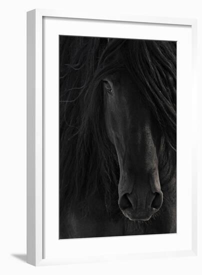 Shadow-null-Framed Art Print