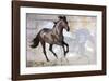 Shadow-Susan Friedman-Framed Giclee Print