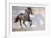 Shadow-Susan Friedman-Framed Giclee Print