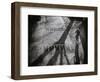 Shadow-Henk Van-Framed Photographic Print