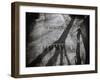 Shadow-Henk Van-Framed Photographic Print