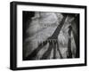 Shadow-Henk Van-Framed Photographic Print