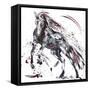 Shadow-Penny Warden-Framed Stretched Canvas