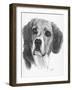 Shadow-Barbara Keith-Framed Giclee Print