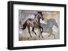 Shadow-Susan Friedman-Framed Photographic Print