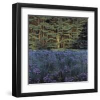 Shadowed Meadow Sunlit Pines-Jon R^ Friedman-Framed Giclee Print