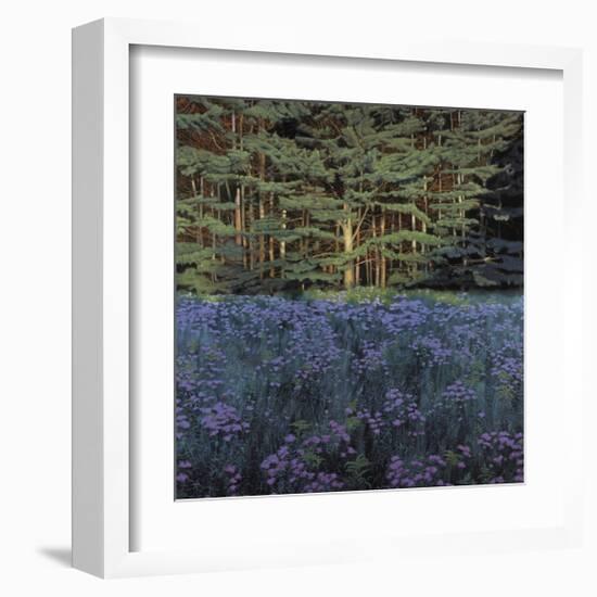 Shadowed Meadow Sunlit Pines-Jon R^ Friedman-Framed Giclee Print