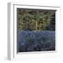 Shadowed Meadow Sunlit Pines-Jon R^ Friedman-Framed Giclee Print