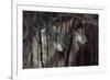 Shadowers-Gordon Semmens-Framed Photographic Print