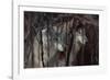 Shadowers-Gordon Semmens-Framed Photographic Print