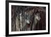 Shadowers-Gordon Semmens-Framed Photographic Print