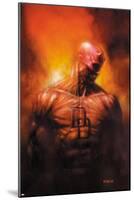 Shadowland: After The Fall No.1 Cover: Daredevil Standing-David Finch-Mounted Poster