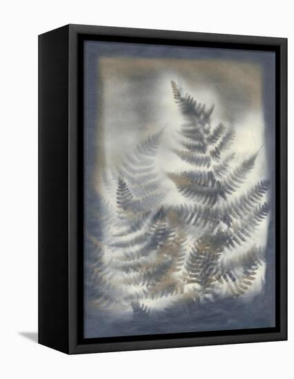 Shadows and Ferns V-Renee W. Stramel-Framed Stretched Canvas