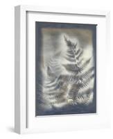 Shadows and Ferns V-Renee W. Stramel-Framed Art Print