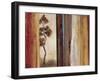 Shadows and Lines II-Simon Addyman-Framed Art Print