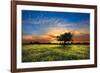 Shadows at Sunset-Celebrate Life Gallery-Framed Art Print