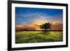 Shadows at Sunset-Celebrate Life Gallery-Framed Art Print