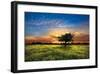 Shadows at Sunset-Celebrate Life Gallery-Framed Giclee Print