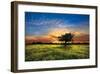 Shadows at Sunset-Celebrate Life Gallery-Framed Giclee Print