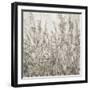 Shadows I-Tim O'toole-Framed Art Print