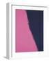 Shadows II, 1979 (pink)-Andy Warhol-Framed Giclee Print