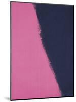 Shadows II, 1979 (pink)-Andy Warhol-Mounted Giclee Print