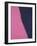 Shadows II, 1979 (pink)-Andy Warhol-Framed Giclee Print