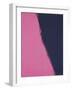 Shadows II, 1979 (pink)-Andy Warhol-Framed Giclee Print