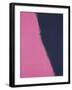 Shadows II, 1979 (pink)-Andy Warhol-Framed Giclee Print