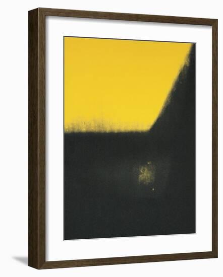 Shadows II, c.1979-Andy Warhol-Framed Giclee Print