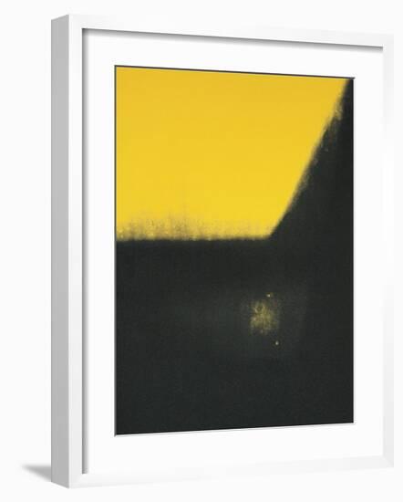 Shadows II, c.1979-Andy Warhol-Framed Giclee Print