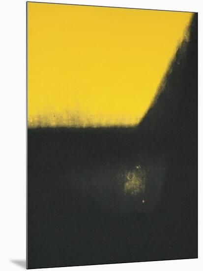 Shadows II, c.1979-Andy Warhol-Mounted Giclee Print