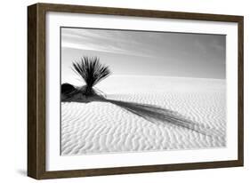 Shadows in the Sand I-Douglas Taylor-Framed Photographic Print