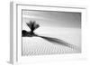 Shadows in the Sand I-Douglas Taylor-Framed Photographic Print