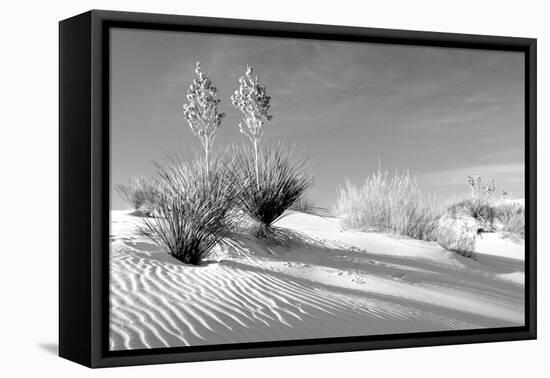 Shadows in the Sand II-Douglas Taylor-Framed Stretched Canvas