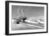 Shadows in the Sand II-Douglas Taylor-Framed Photographic Print