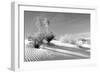 Shadows in the Sand II-Douglas Taylor-Framed Photographic Print