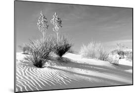 Shadows in the Sand II-Douglas Taylor-Mounted Photographic Print