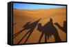 Shadows of Camels and Riders in the Desert, Merzouga, Morocco, North Africa-Neil Farrin-Framed Stretched Canvas