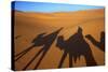 Shadows of Camels and Riders in the Desert, Merzouga, Morocco, North Africa-Neil Farrin-Stretched Canvas